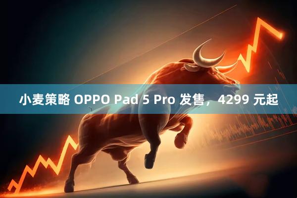 小麦策略 OPPO Pad 5 Pro 发售，4299 元起