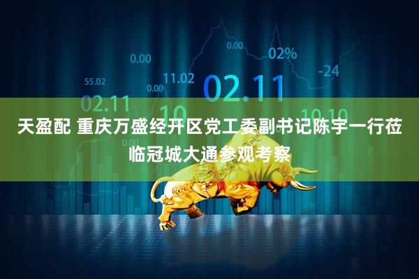天盈配 重庆万盛经开区党工委副书记陈宇一行莅临冠城大通参观考察