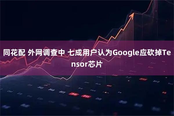 同花配 外网调查中 七成用户认为Google应砍掉Tensor芯片