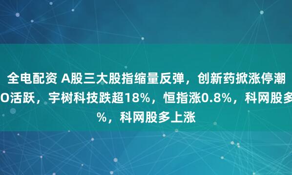 全电配资 A股三大股指缩量反弹，创新药掀涨停潮，CPO活跃，宇树科技跌超18%，恒指涨0.8%，科网股多上涨